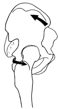 ���Ղ̘c�ݐ}�T