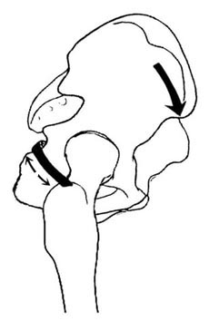���Ղ̘c�ݐ}�S