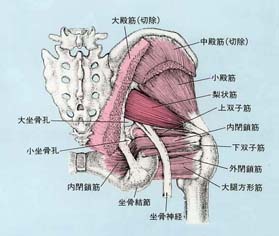 �n�r�}�Q