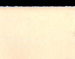 �R�b�g���y�[�p�[