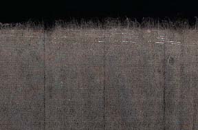 �g�������