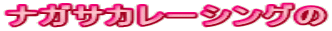 ナガサカレーシングの 