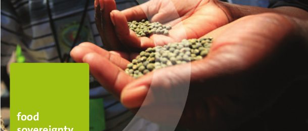 2015042604GMO--clops