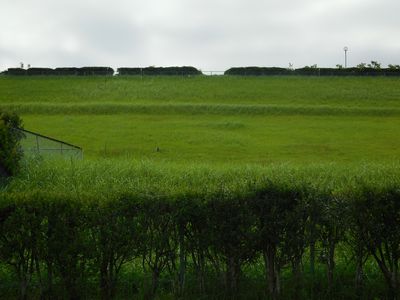 佐布里池