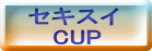 ZLXC    CUP